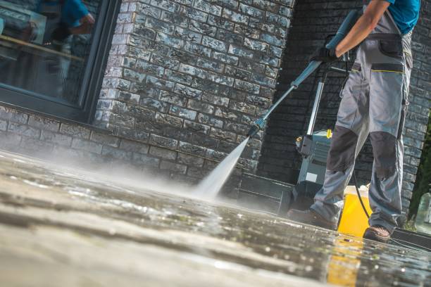 Best Patio and Deck Pressure Washing  in Pigeon, MI