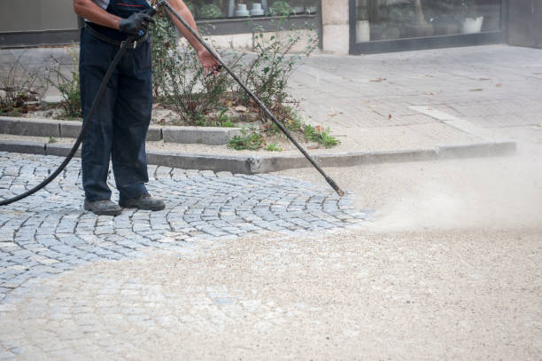 Best Driveway Pressure Washing  in Pigeon, MI