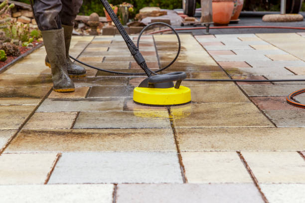 Best Gutter Cleaning  in Pigeon, MI