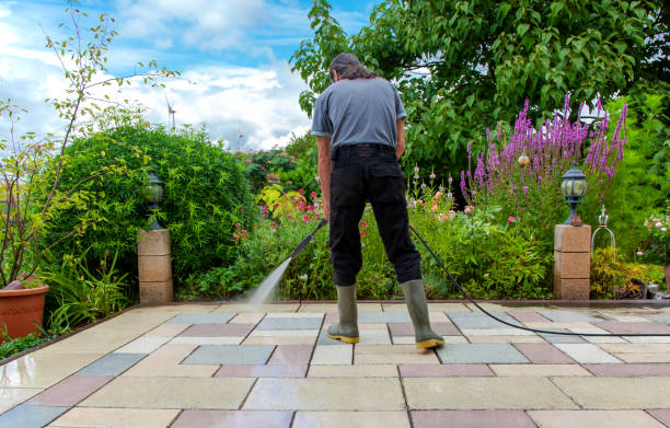 Best Sidewalk and Walkway Cleaning  in Pigeon, MI