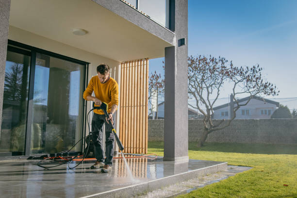 Best Solar Panel Cleaning  in Pigeon, MI